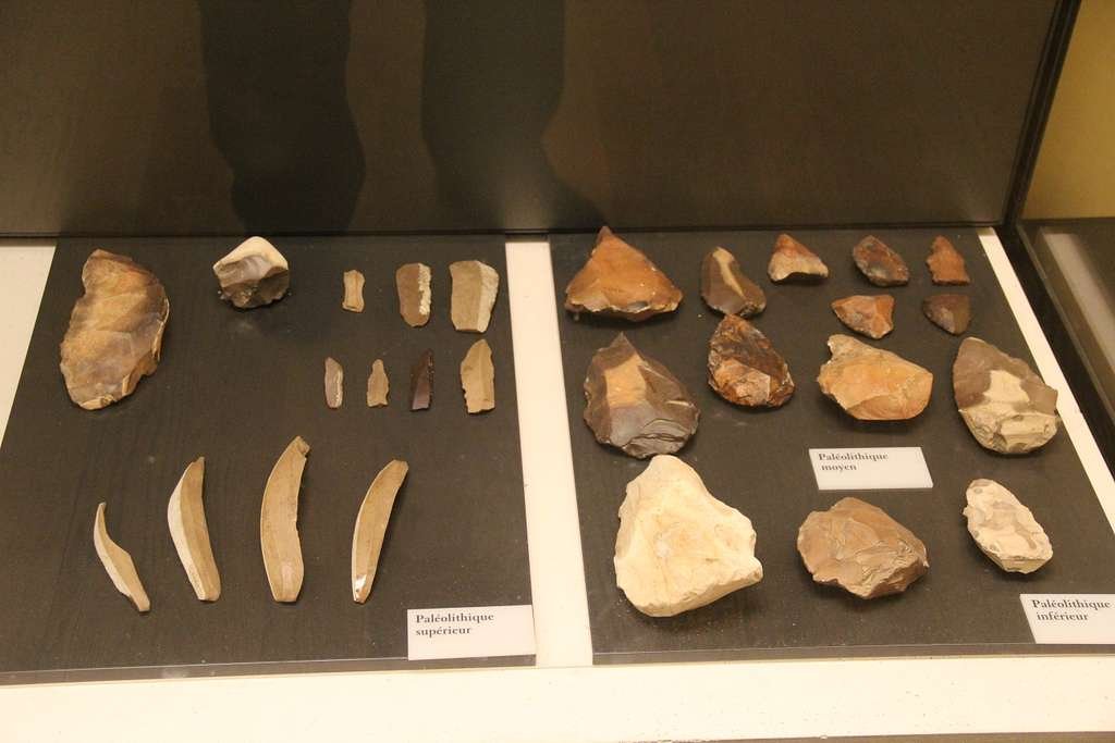 Paleolithic tools