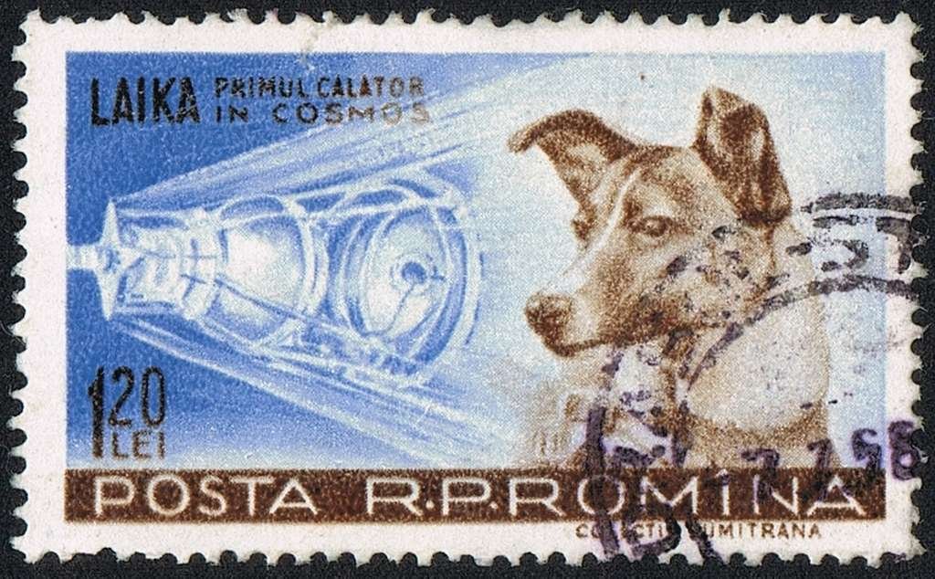 Laika Soviet Dog