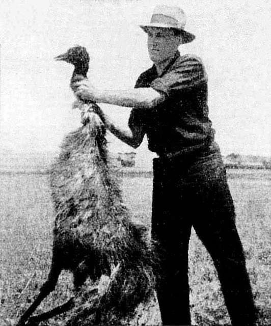 The Great Emu War