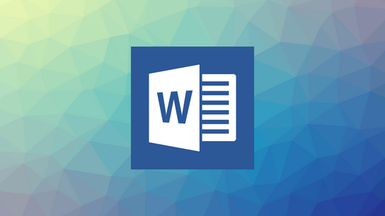 Microsoft Word 1.0 for DOS